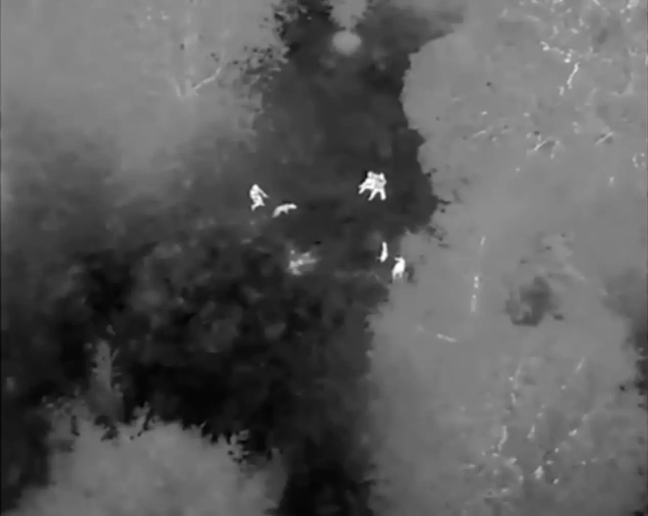 Aerial thermal drone surveillance of a private estate